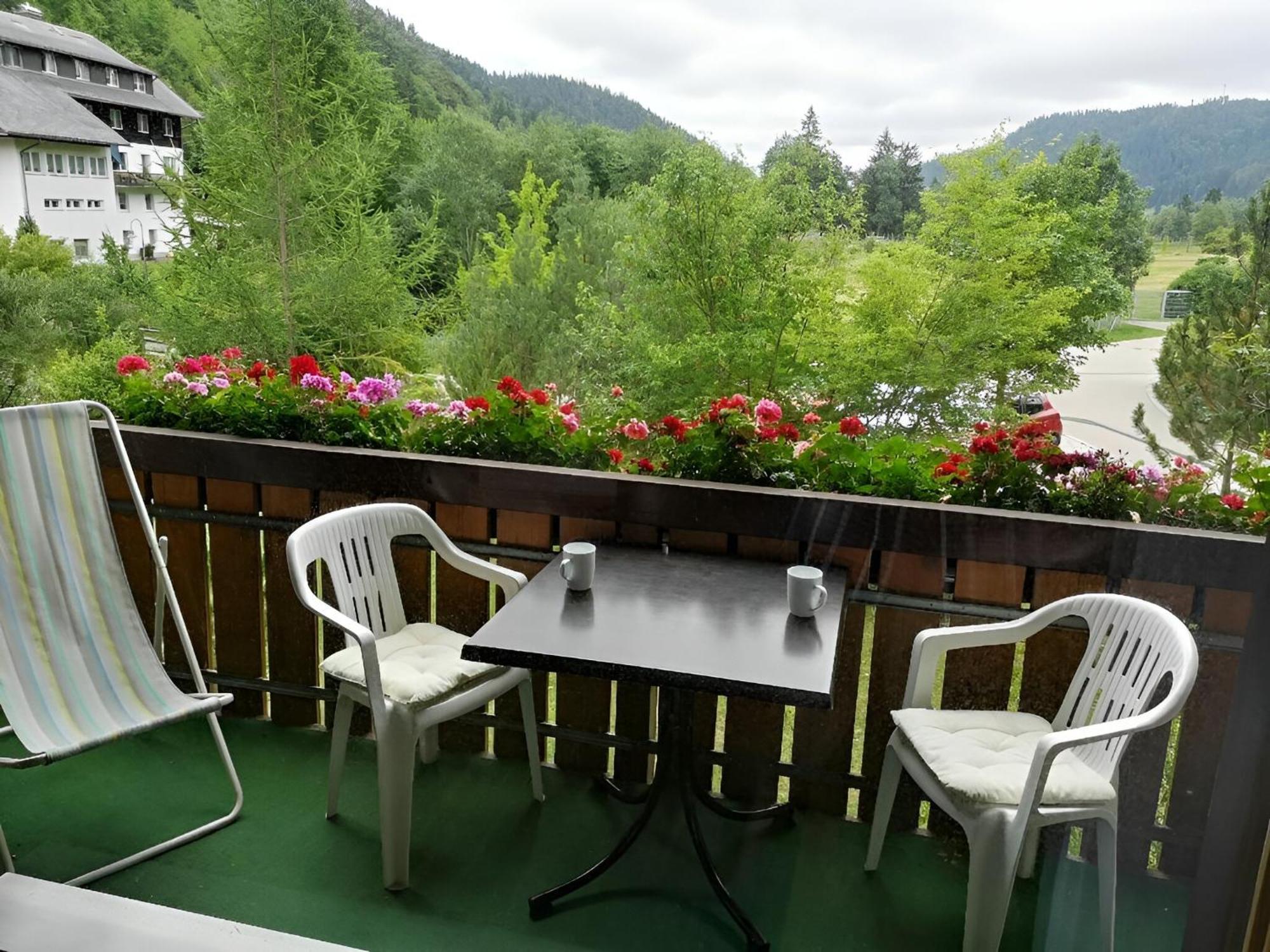 Naturidyll Am Fluss - Ferienhaus Albmatte - Grosser Garten Zum Grillen Und Entspannen-Direkt Neben Dem Radon Revitalbad Mit Sauna Und Thermalbecken St. Blasien Dış mekan fotoğraf