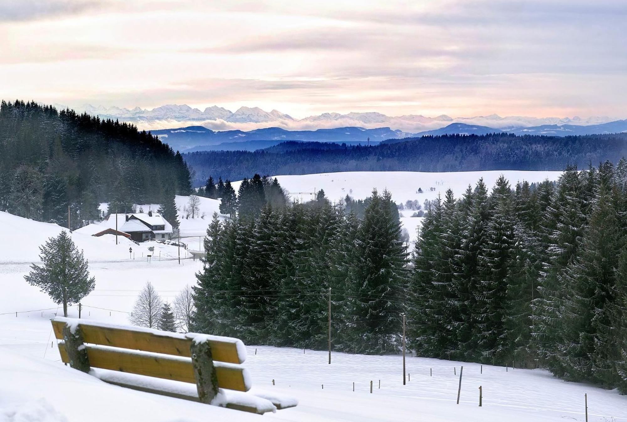 Naturidyll Am Fluss - Ferienhaus Albmatte - Grosser Garten Zum Grillen Und Entspannen-Direkt Neben Dem Radon Revitalbad Mit Sauna Und Thermalbecken St. Blasien Dış mekan fotoğraf