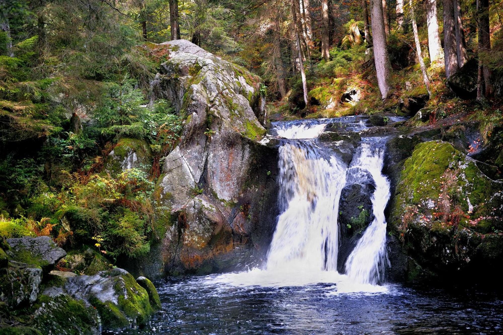 Naturidyll Am Fluss - Ferienhaus Albmatte - Grosser Garten Zum Grillen Und Entspannen-Direkt Neben Dem Radon Revitalbad Mit Sauna Und Thermalbecken St. Blasien Dış mekan fotoğraf