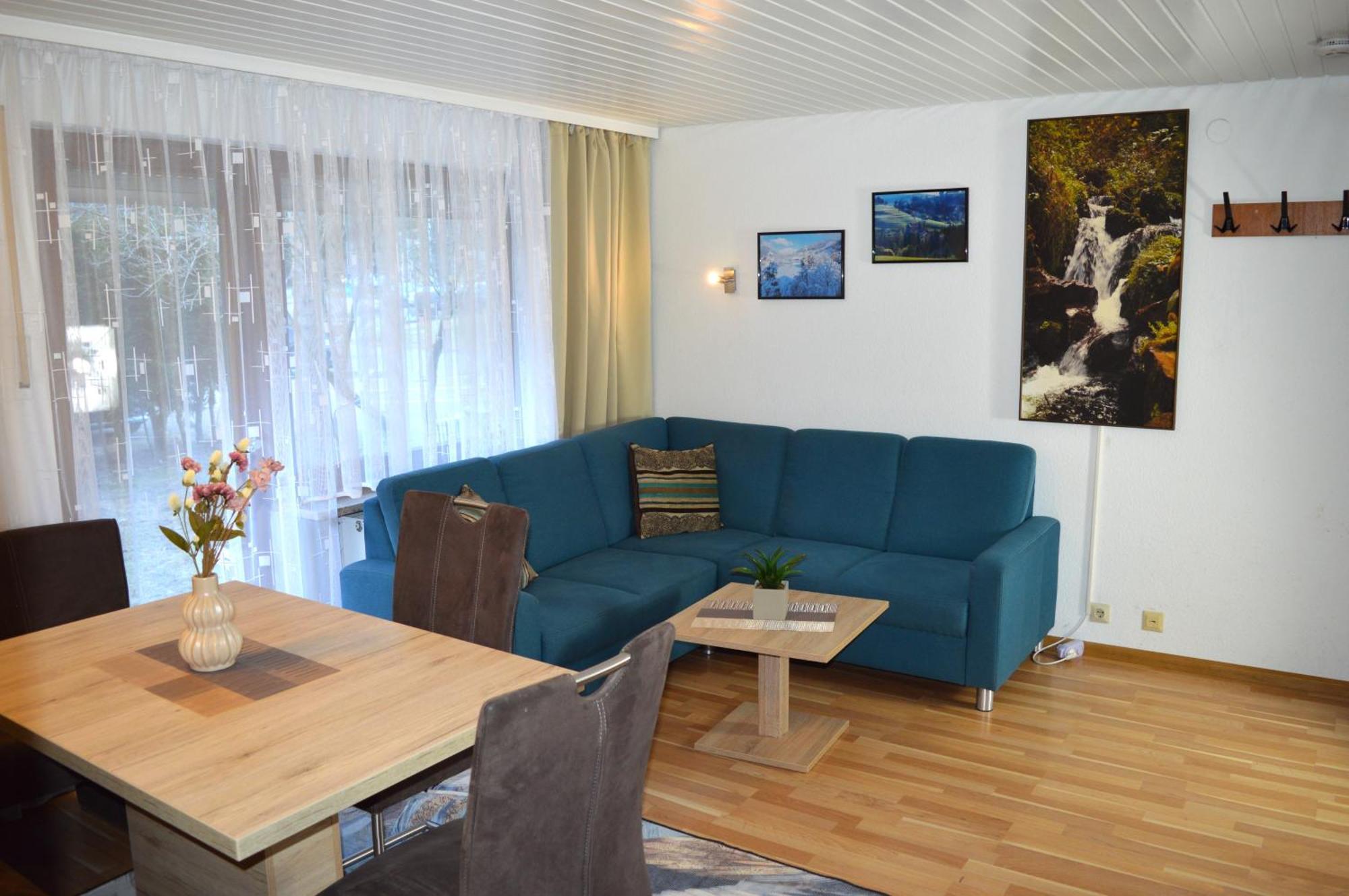 Naturidyll Am Fluss - Ferienhaus Albmatte - Grosser Garten Zum Grillen Und Entspannen-Direkt Neben Dem Radon Revitalbad Mit Sauna Und Thermalbecken St. Blasien Dış mekan fotoğraf