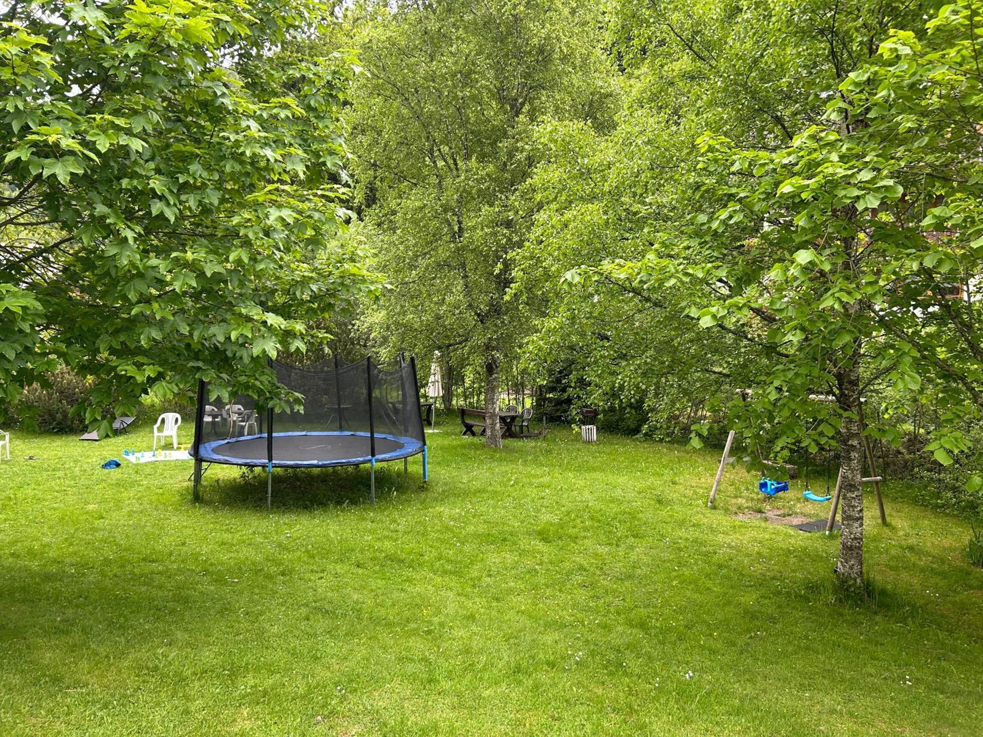 Naturidyll Am Fluss - Ferienhaus Albmatte - Grosser Garten Zum Grillen Und Entspannen-Direkt Neben Dem Radon Revitalbad Mit Sauna Und Thermalbecken St. Blasien Dış mekan fotoğraf